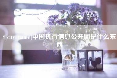 乌兰察布中国执行信息公开网是什么东西