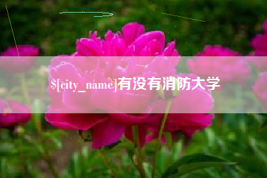 乌兰察布有没有消防大学