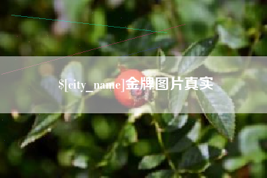 乌兰察布金牌图片真实