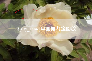 乌兰察布中国第九金回放
