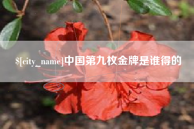 乌兰察布中国第九枚金牌是谁得的