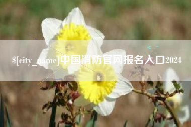 乌兰察布中国消防官网报名入口2024