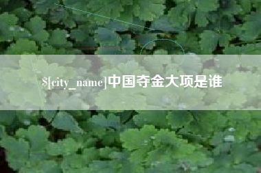 乌兰察布中国夺金大项是谁