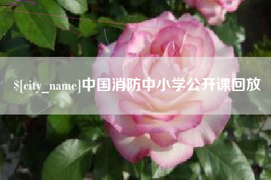 乌兰察布中国消防中小学公开课回放