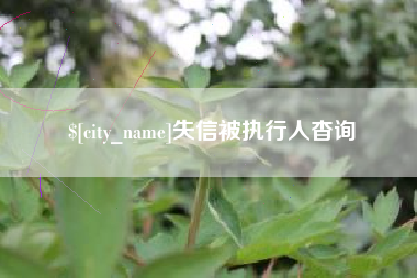 乌兰察布失信被执行人杳询