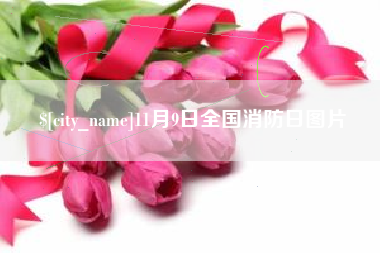 乌兰察布11月9日全国消防日图片