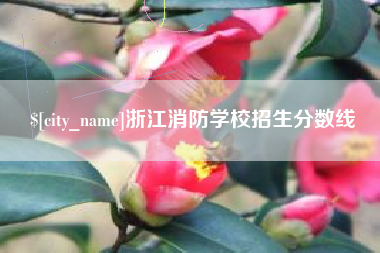 乌兰察布浙江消防学校招生分数线