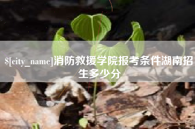 乌兰察布消防救援学院报考条件湖南招生多少分