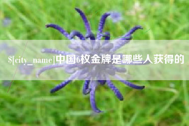 乌兰察布中国6枚金牌是哪些人获得的