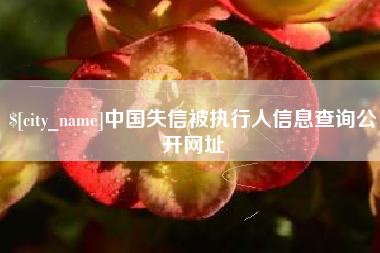 乌兰察布中国失信被执行人信息查询公开网址