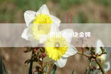 乌兰察布奥运会39块金牌