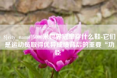 乌兰察布5000米世界冠军穿什么鞋-它们是运动员取得优异成绩背后的重要“功臣”