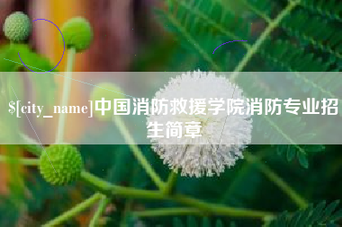 乌兰察布中国消防救援学院消防专业招生简章