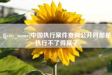 乌兰察布中国执行案件查询公开网都是执行不了得案子