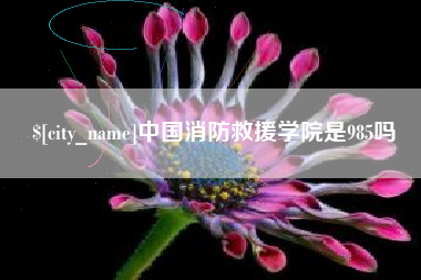 乌兰察布中国消防救援学院是985吗