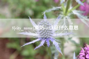 乌兰察布消防ccc认证什么意思