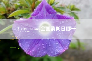乌兰察布全国消防日哪一
