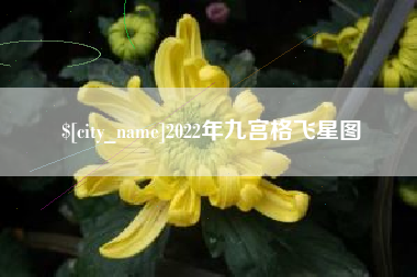 乌兰察布2022年九宫格飞星图