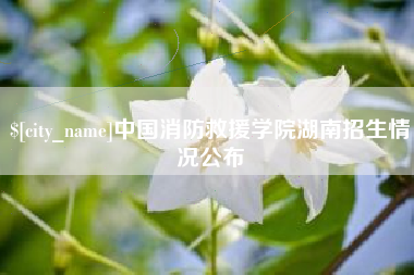 乌兰察布中国消防救援学院湖南招生情况公布