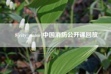 乌兰察布中国消防公开课回放