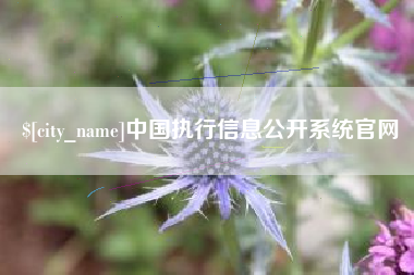 乌兰察布中国执行信息公开系统官网
