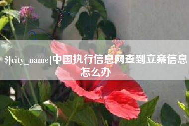 乌兰察布中国执行信息网查到立案信息怎么办