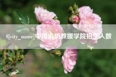 乌兰察布中国消防救援学院招生人数