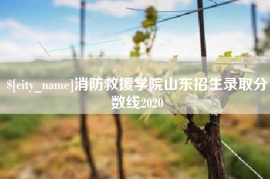 乌兰察布消防救援学院山东招生录取分数线2020