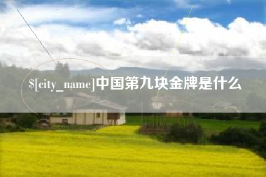 乌兰察布中国第九块金牌是什么