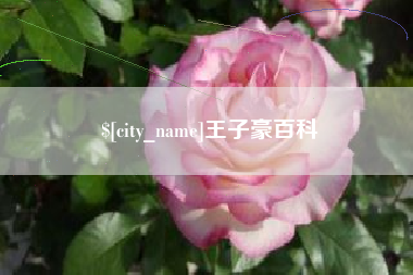 乌兰察布王子豪百科