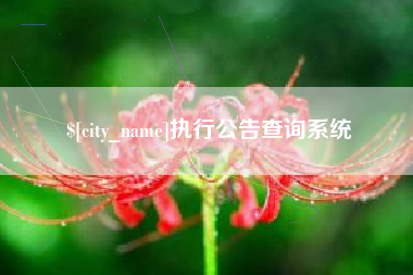 乌兰察布执行公告查询系统
