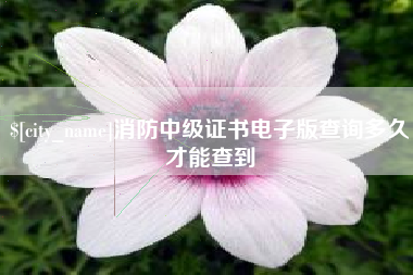 乌兰察布消防中级证书电子版查询多久才能查到