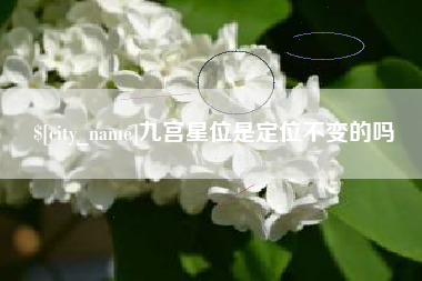 乌兰察布九宫星位是定位不变的吗