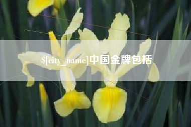 乌兰察布中国金牌包括
