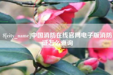 乌兰察布中国消防在线官网电子版消防证怎么查询