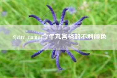 乌兰察布今年九宫格的不利颜色