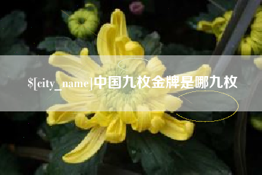 乌兰察布中国九枚金牌是哪九枚