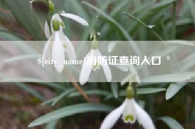 乌兰察布消防证查询入口