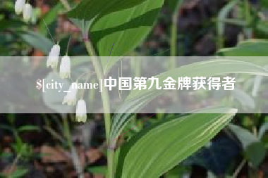 乌兰察布中国第九金牌获得者