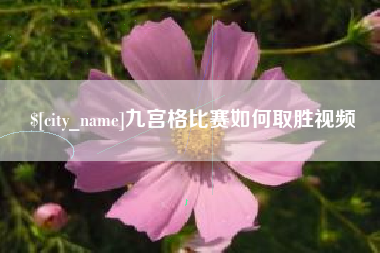 乌兰察布九宫格比赛如何取胜视频