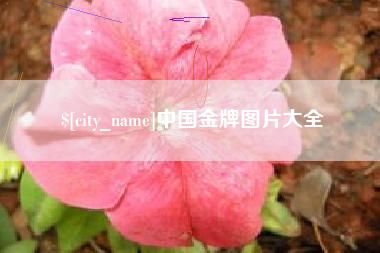 乌兰察布中国金牌图片大全