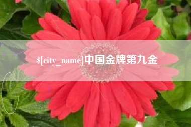 乌兰察布中国金牌第九金