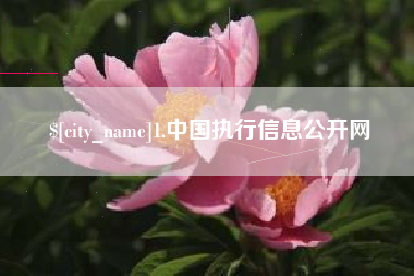 乌兰察布1.中国执行信息公开网