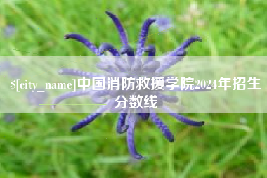 乌兰察布中国消防救援学院2024年招生分数线