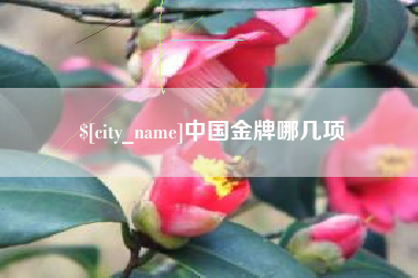 乌兰察布中国金牌哪几项