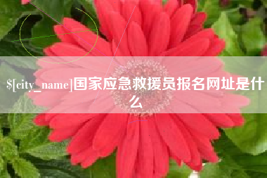 乌兰察布国家应急救援员报名网址是什么