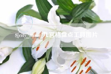 乌兰察布九宫格盘点工具图片