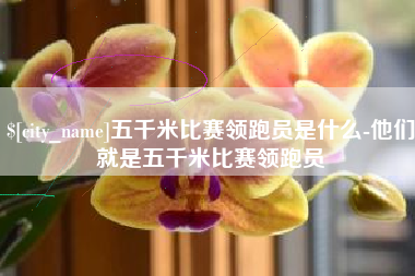 乌兰察布五千米比赛领跑员是什么-他们就是五千米比赛领跑员