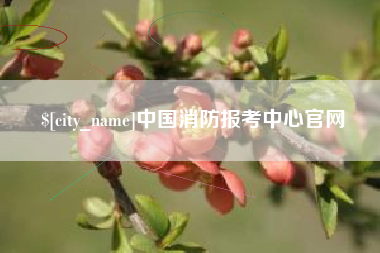 乌兰察布中国消防报考中心官网