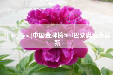 乌兰察布中国金牌榜2024巴黎奥运会最新